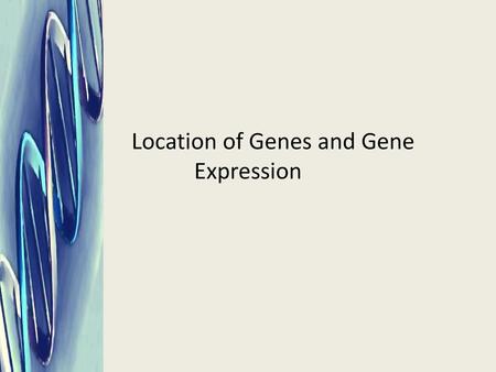 Location of Genes and Gene Expression