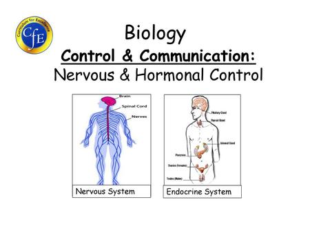 Control & Communication: Nervous & Hormonal Control