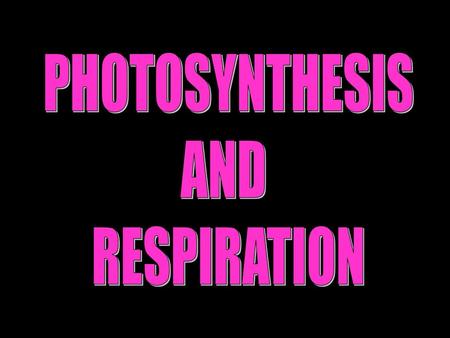 PHOTOSYNTHESIS AND RESPIRATION.