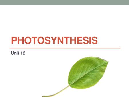 Photosynthesis Unit 12.