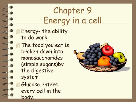Chapter 9 Energy in a cell