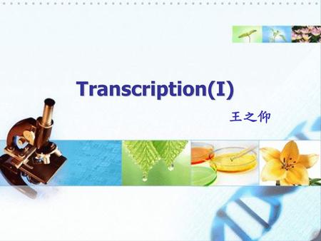 Transcription(I) 王之仰.