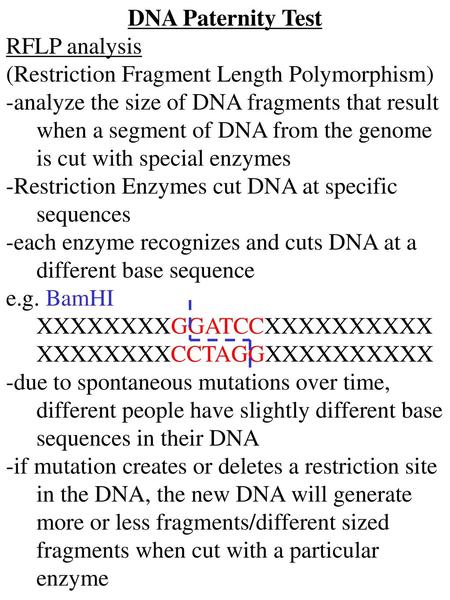 DNA Paternity Test RFLP analysis