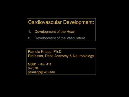 Cardiovascular Development: