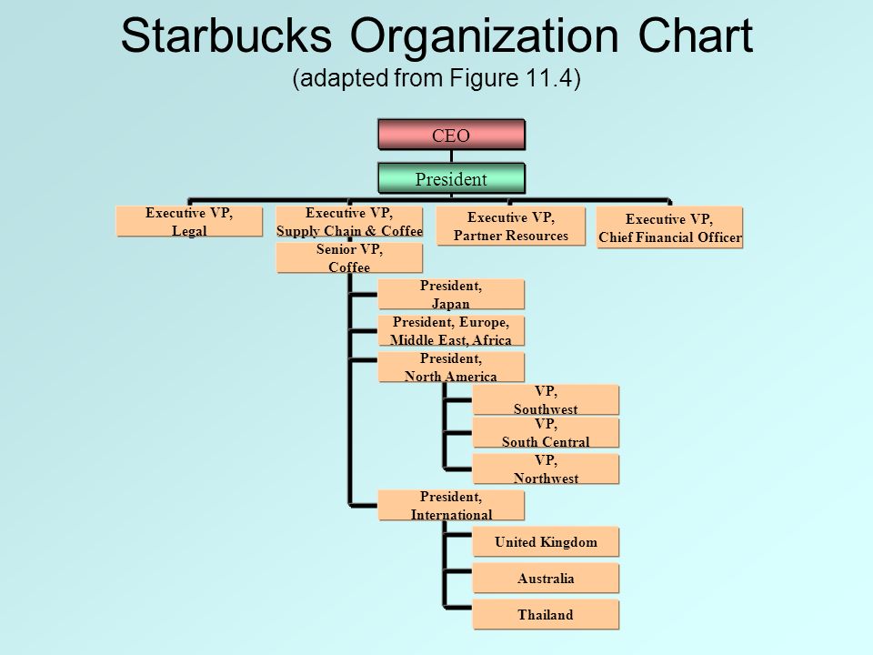 Starbucks Corporation Organizational Chart