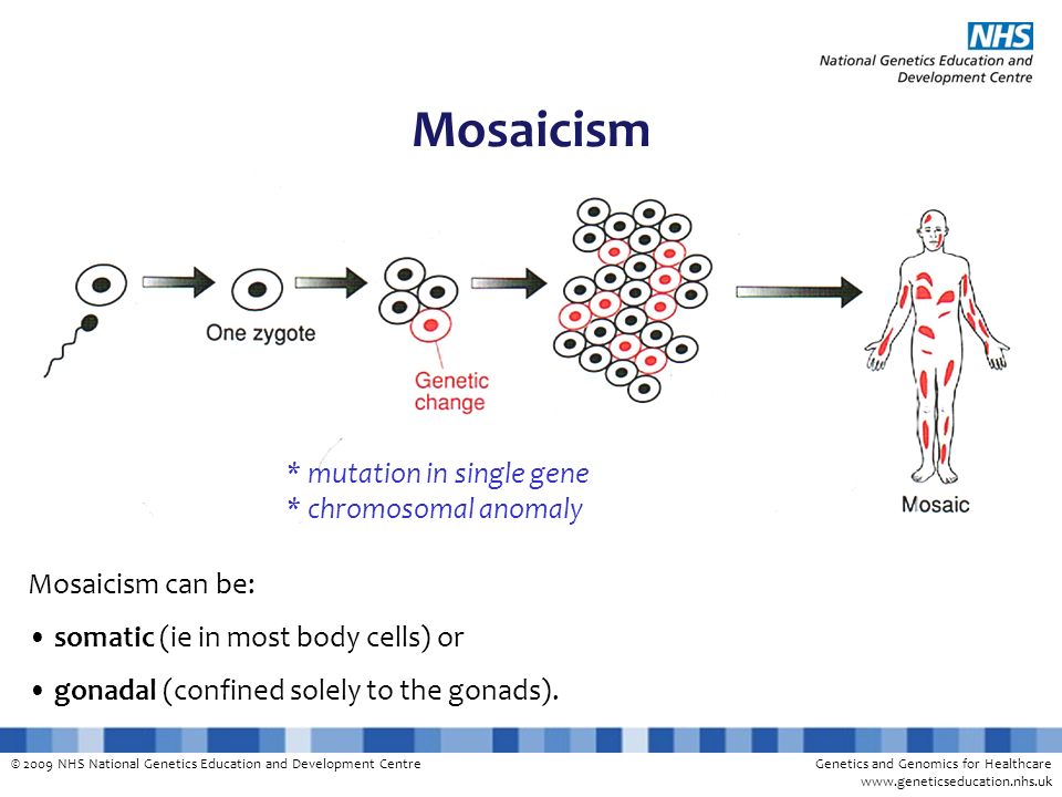 download protein crystallography a