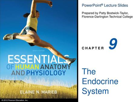 9 The Endocrine System.