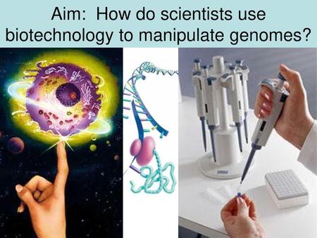 Aim: How do scientists use biotechnology to manipulate genomes?