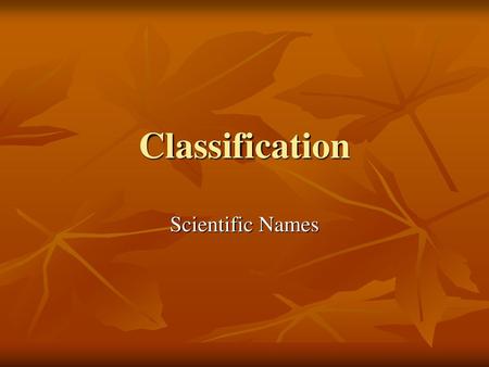 Classification Scientific Names.