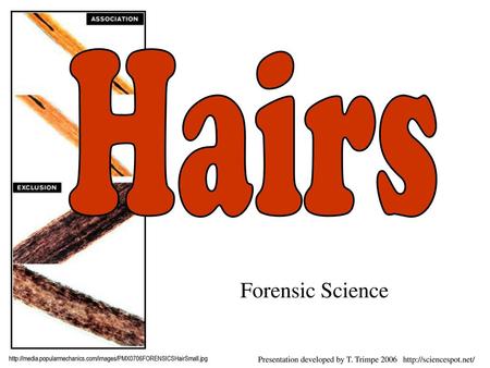 Hairs Forensic Science