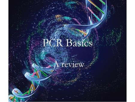 PCR Basics A review.