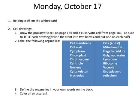 Monday, October 17 Bellringer #5 on the whiteboard Cell drawings: