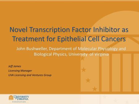 Novel Transcription Factor Inhibitor as Treatment for Epithelial Cell Cancers John Bushweller, Department of Molecular Physiology and Biological Physics,