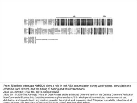 Fig. 1. Alignment of NaHD20 amino acid sequences with HD-Zip I proteins from different plant species. Multiple alignment of the NaHD20 amino acid sequence.