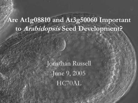 Are At1g08810 and At3g50060 Important to Arabidopsis Seed Development?