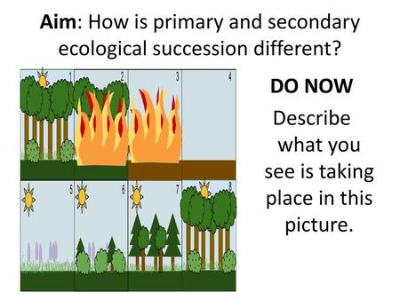 Aim: How is primary and secondary ecological succession different?
