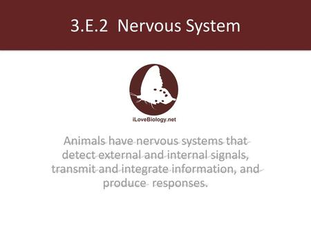 3.E.2 Nervous System Animals have nervous systems that detect external and internal signals, transmit and integrate information, and produce responses.