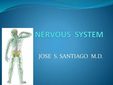 THE NERVOUS SYSTEM JOSE S. SANTIAGO M.D..