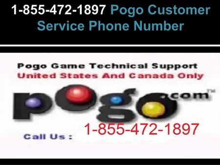 Pogo Customer Service Phone Number