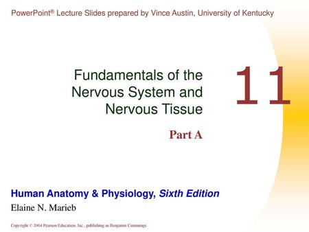 Fundamentals of the Nervous System and Nervous Tissue Part A
