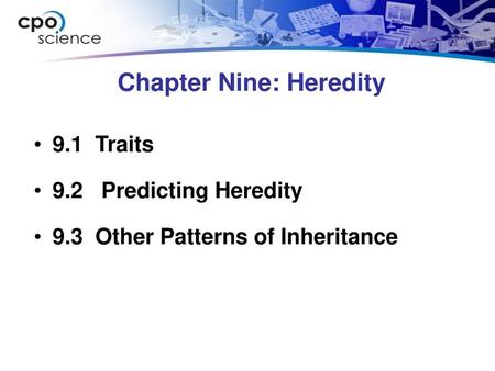 Chapter Nine: Heredity