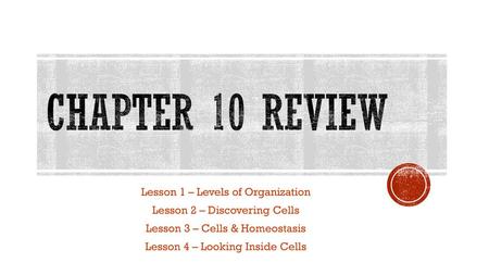 Chapter 10 Review Lesson 1 – Levels of Organization
