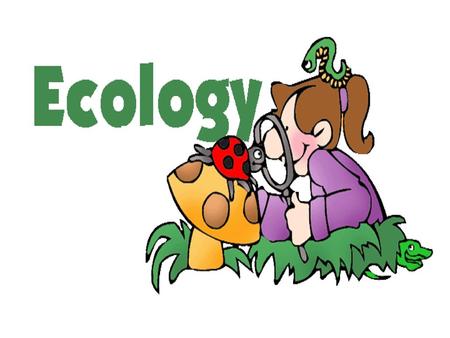 Ecology—the scientific study of interactions between different organisms and between organisms and their environment or surroundings.