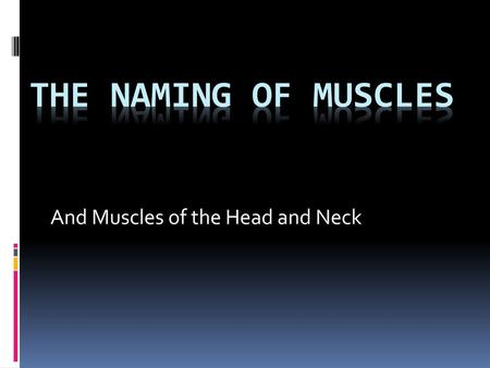 And Muscles of the Head and Neck