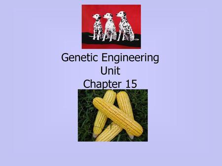 Genetic Engineering Unit Chapter 15
