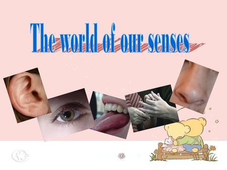 The world of our senses.