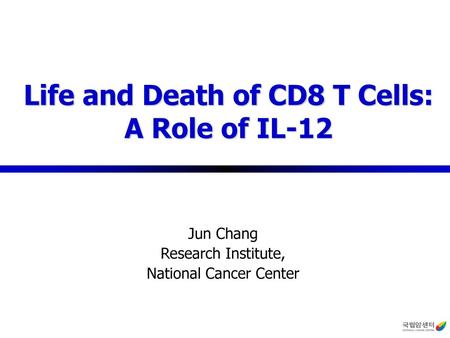 Life and Death of CD8 T Cells: A Role of IL-12