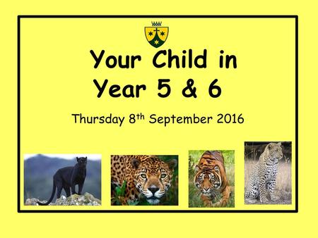 Your Child in Year 5 & 6 Thursday 8th September 2016