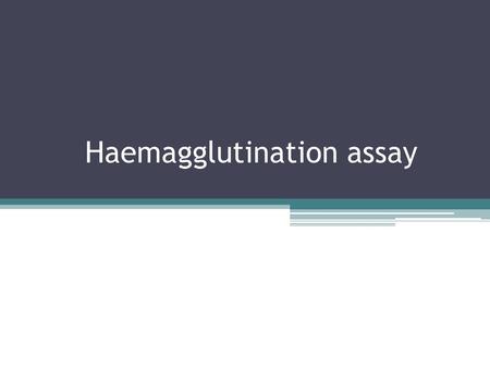Haemagglutination assay