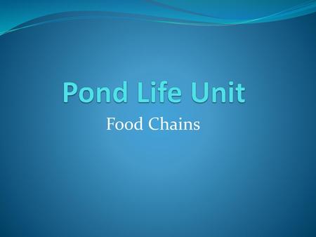 Pond Life Unit Food Chains.