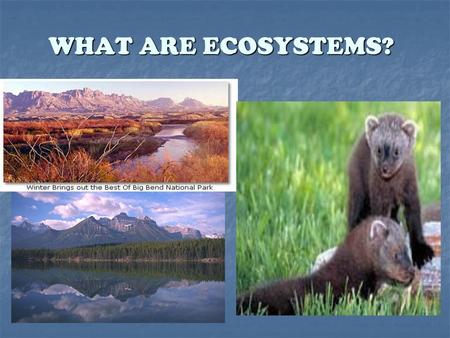 WHAT ARE ECOSYSTEMS?.