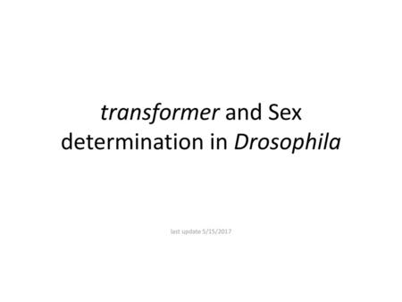 transformer and Sex determination in Drosophila