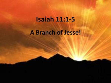 Isaiah 11:1-5 A Branch of Jesse!.