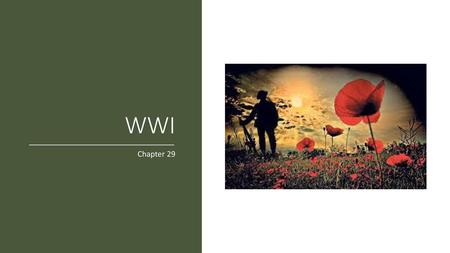 WWI Chapter 29.