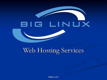 Web Hosting Services Biglinux.com.