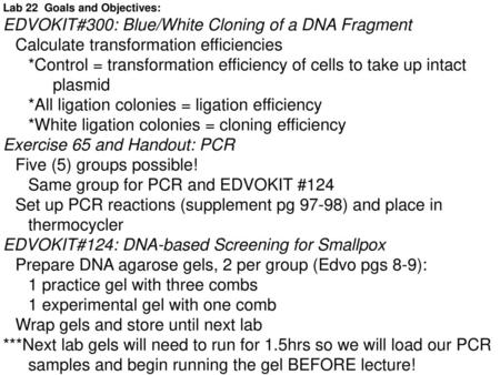 EDVOKIT#300: Blue/White Cloning of a DNA Fragment