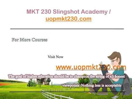 MKT 230 Slingshot Academy / uopmkt230.com