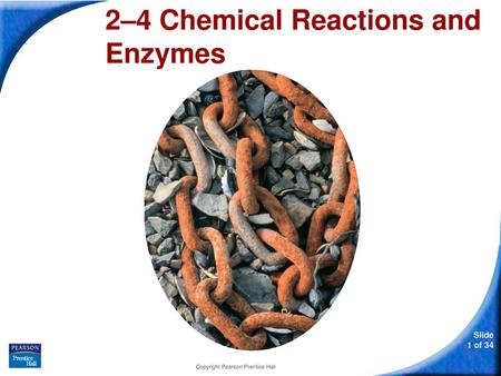 2–4 Chemical Reactions and Enzymes