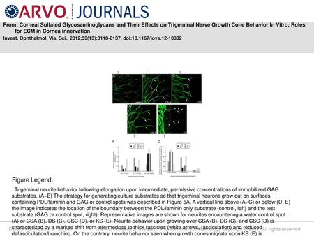 From: Corneal Sulfated Glycosaminoglycans and Their Effects on Trigeminal Nerve Growth Cone Behavior In Vitro: Roles for ECM in Cornea Innervation Invest.