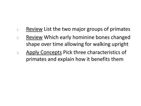 Review List the two major groups of primates