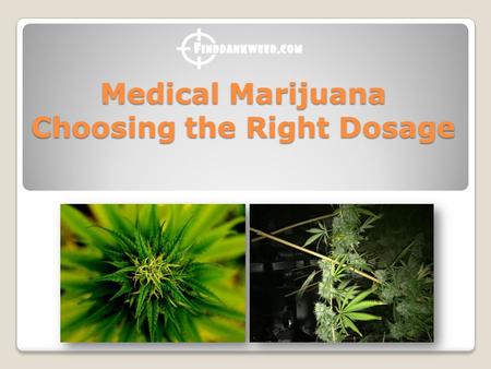 Medical Marijuana Choosing the Right Dosage. As a first time user, chances are that you are confuse as to the required dosage or what to look out for,