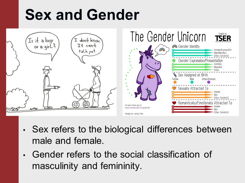 Differences Between Sex And Gender 95