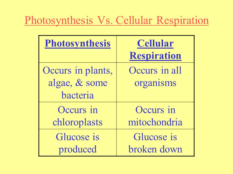 download vitamin d physiology molecular biology and clinical