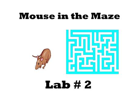 Mouse in the Maze Lab # 2.
