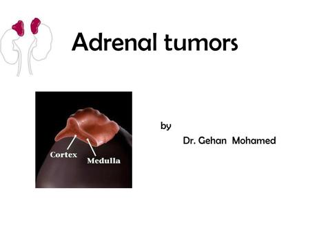 Adrenal tumors by Dr. Gehan Mohamed.