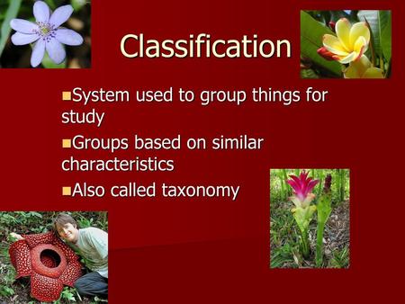 Classification System used to group things for study